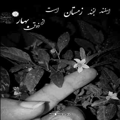 آهنگ اخ دورت بگردم چه تیری زدی به قلبم مگه میشه تو چیزی بخوای بگم نه