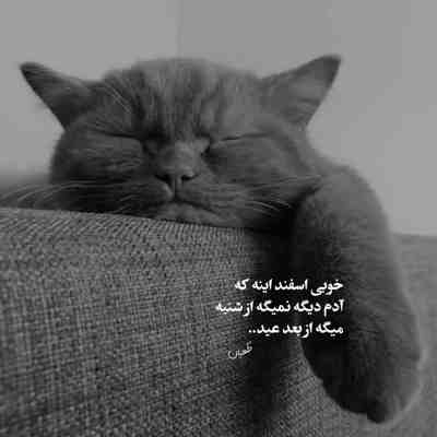 آهنگ ای بی وفا دنیا ببین اشک تو دو چشام آدما نیمه ران چی بی دفان