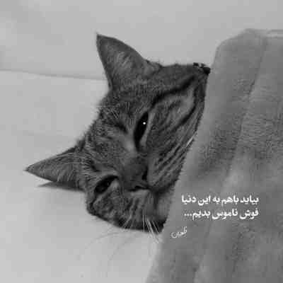 آهنگ باران میزند و ای کاش پنجره ی قلبش رو به همه بسته بماند