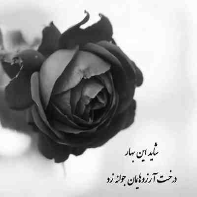 آهنگ تو زیباترین اتفاق زندگیمی تو دلیل خنده هامی