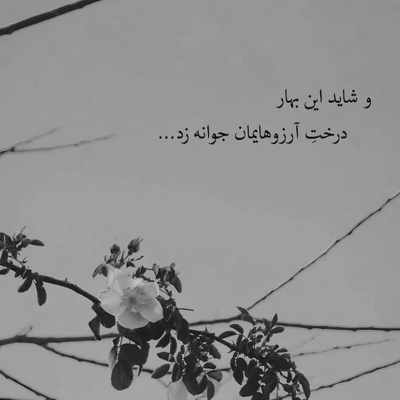 آهنگ کاش تورو زودتر میدیدم خوشگل مو مشکی