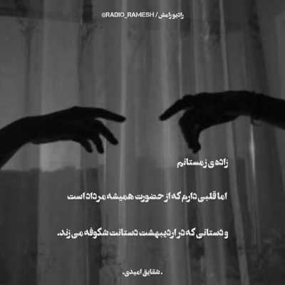 آهنگ شاپرک جان جان به قربانت کنم