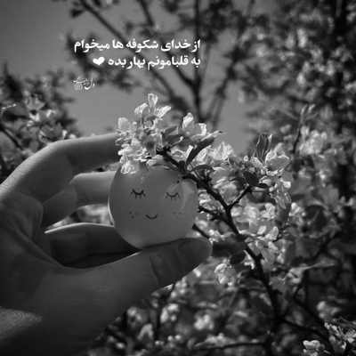 آهنگ بالا بری پایین بیای چش مایی عزیزم