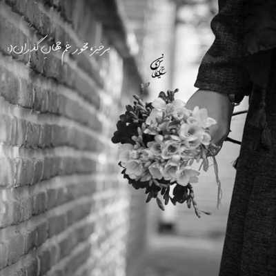 آهنگ دلم گریه میخواد کجاست شونه هات