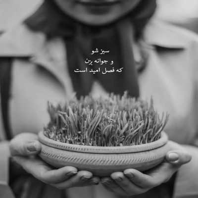 آهنگ ستاره میشی میچسبی به آسمون رویاهام پای تو وسط بیاد من از اون دیوونه هام