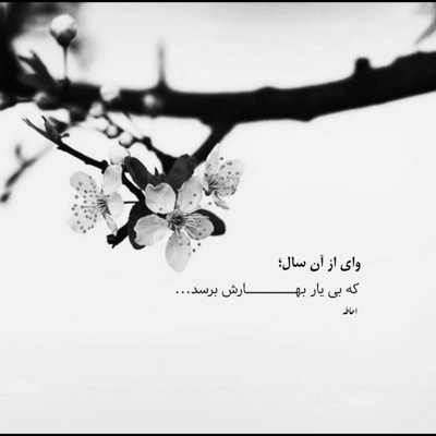 آهنگ وقتی میبینمت من از قبلا عاشقترتم