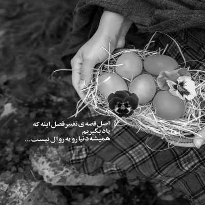 آهنگ جون دلم میره برات مگه میشه دل تورو نخواد