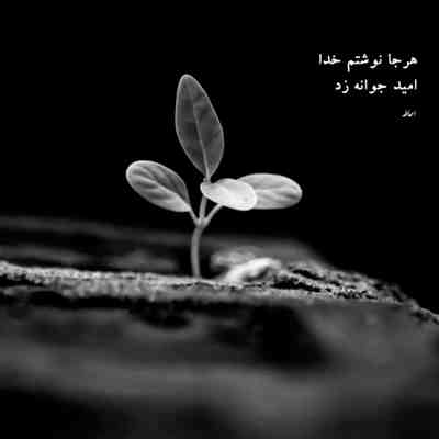 آهنگ موند به قلبم حسرتش به دست بیارمت