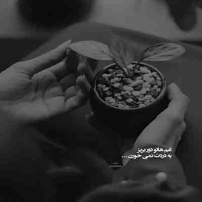 آهنگ اون موهای مشکیت شروع ماجرای عشقیم بود