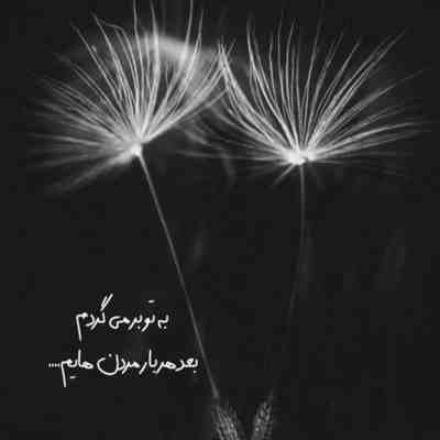 آهنگ دریا دریا از این عشق پر آوازه به پای تو بریزم