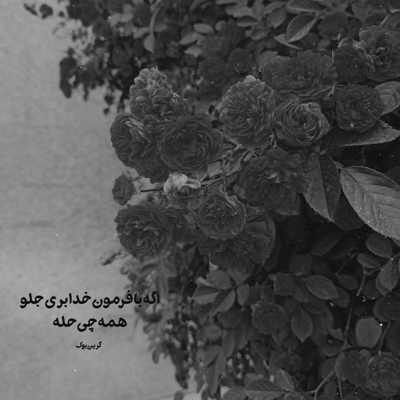 آهنگ دل من سالی یه بار فکرته بی اختیار