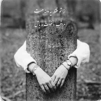 آهنگ عاشقت شدم عمیقه حس بینمون