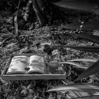 آهنگ تازه داره حالیم میشه زندگیمو دادم بی کی