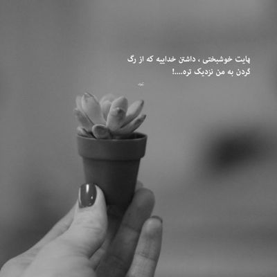 آهنگ شیری جور نعره بکش دشمنی دل نییره قرار