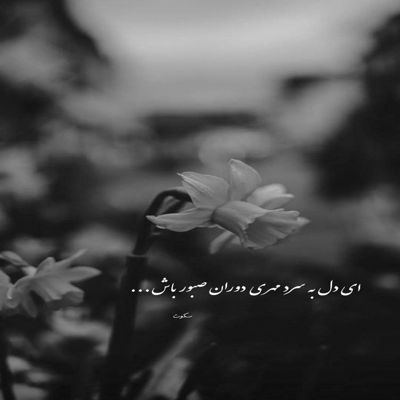 آهنگ من اگه عشقت بشم عاشقی کردن بلدی