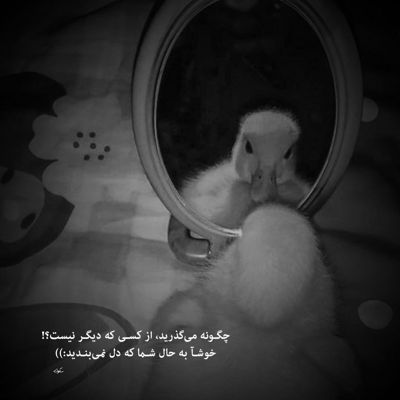 آهنگ من عاشقت شدم ببین دوستت دارم همین