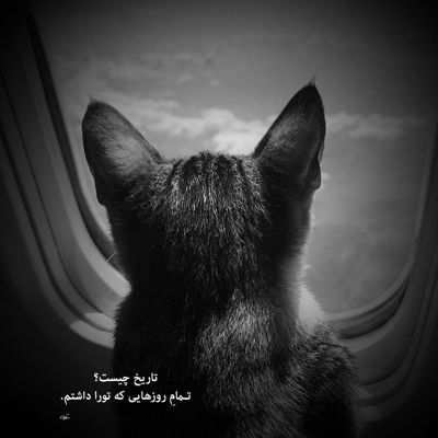 آهنگ اینو ازم بمونه یادت کسی نمیبینی مثل من عاشق