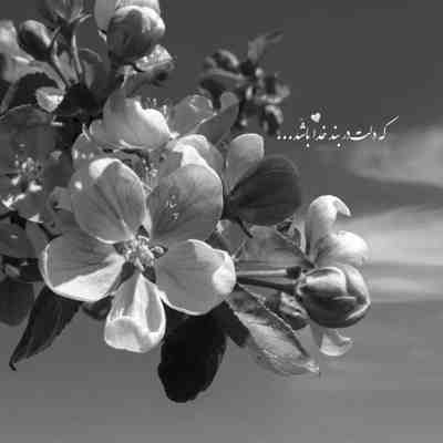 آهنگ رو بغض ابرا نامه نوشتم