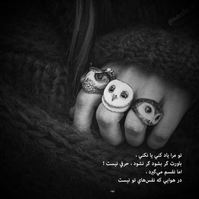 آهنگ تورو دیدم انگار دلم لرزیدو