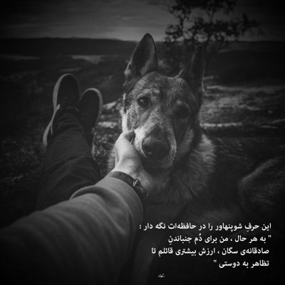 آهنگ گل پری جون بله اینجایی جون