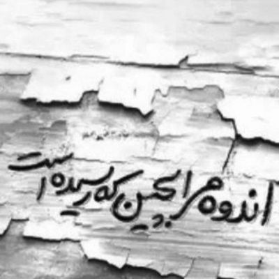 آهنگ شدی سلطان قلبم تو این شبهای سردم