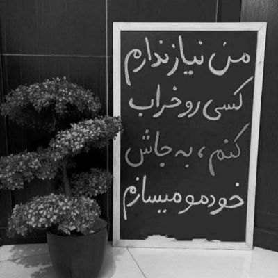 آهنگ نرو تیشه به ریشم نزن دیوونه میشم نکن