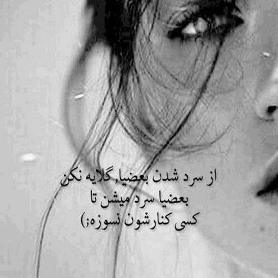 آهنگ در کنج دلم شاخه گلی مثل تو دارم