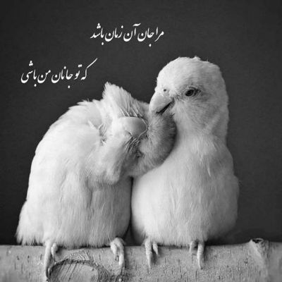 آهنگ هزار تا شب اومد و رفت یه بار نشد بگی بمون