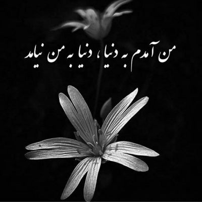 آهنگ آهای گل بی وفا منو کردی رها به خاطر اون چشمات جوونیم شد فنا