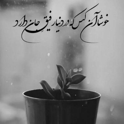 آهنگ شی سر دارمه غرور اما مره خنجر بزو دنیا