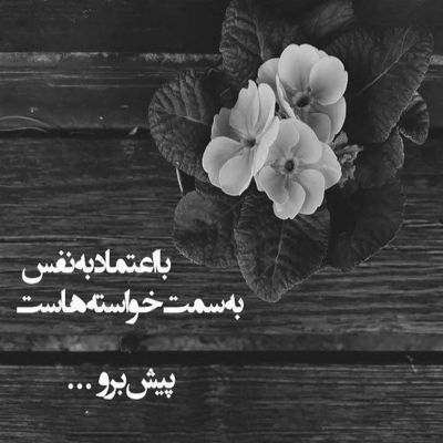 آهنگ من فقط قلب تو را اما تو جانم میبری