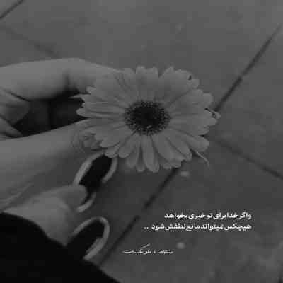 آهنگ یکی یکی یکی میچینم گلهای خونرو دیوونتو دریاب