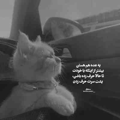 آهنگ باشه من بد میرم اصلا از این به بعد راحت باش