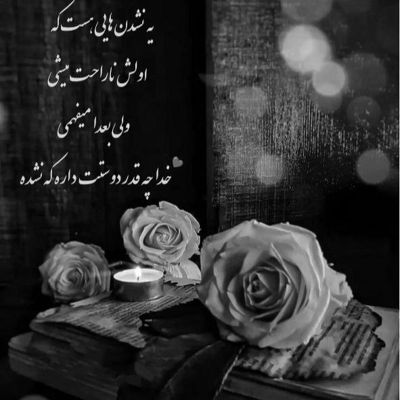 آهنگ دلبر مو قشنگم با دلت یه رنگم تا کی واسه خاطر تو با کل شهر بجنگم