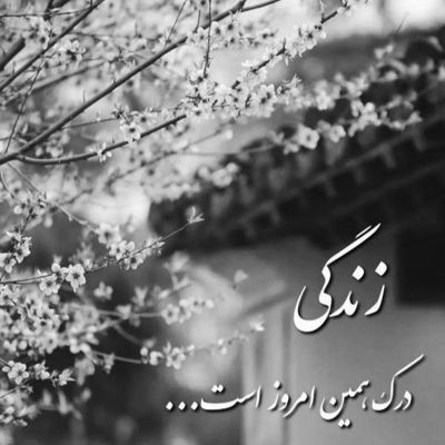 آهنگ بیا نزدیک نزدیک تر عشق من تاج سر عشق من