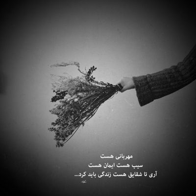 آهنگ باور کن دیوونه نباشی زندونه