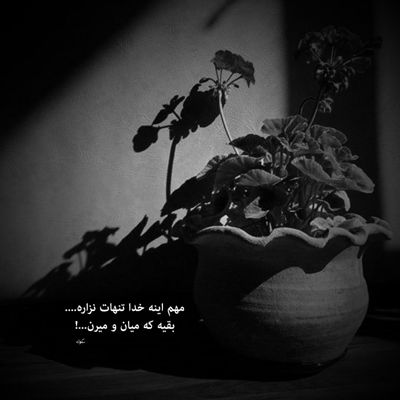 آهنگ روزا دوست داشتنی شد وقتی دنیا اومدی