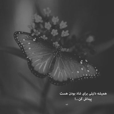 آهنگ 365 روزه که خوندن شده کاره هر روزش