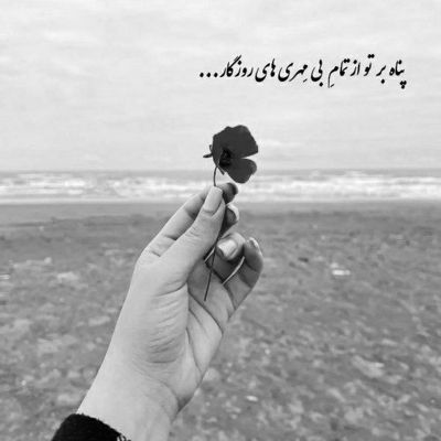 آهنگ رفت تازه عاشق هم شده بودیم دیوونه