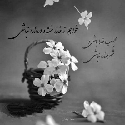 آهنگ تاجر شده قلبم یهو رفته تو کار دلو قلب کسی که نفساشه