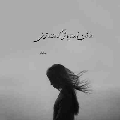 آهنگ دل اگه عاشق بشه دیگه ای دادو بیداد