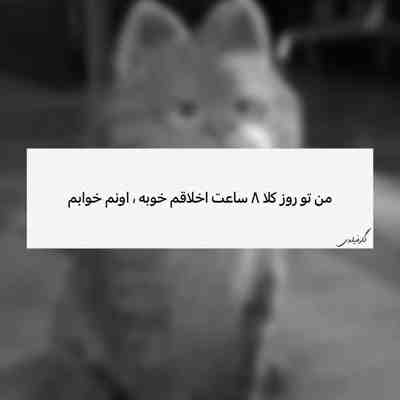 آهنگ بازم معرفت داشت بهونه نیاورد رو راست گفت اونو میخوام