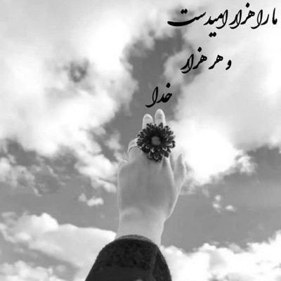 آهنگ بهت پیله کردم نمی مونی پیشم نه میمیرم اینجا نه پروانه میشم