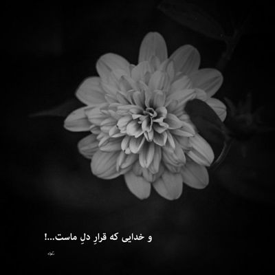 آهنگ زندگی با تو عاشقی باتو نگیر هواتو