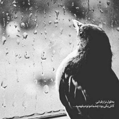 آهنگ رفیق رفیق خرابم امشب بیا نیستی پر از عذابم