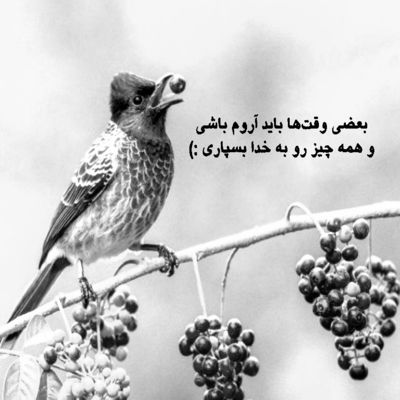 آهنگ باز به سرم زد بزنم به خیابون با تو تنها تو خیالم