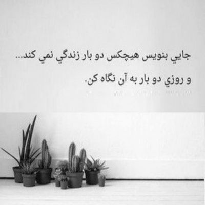 آهنگ شدی شاه قلبم درمون دردم من شده کارم دور تو بگردم