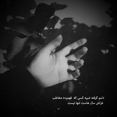 آهنگ میخوام که جونمو بدم یه خار تو دستات نره