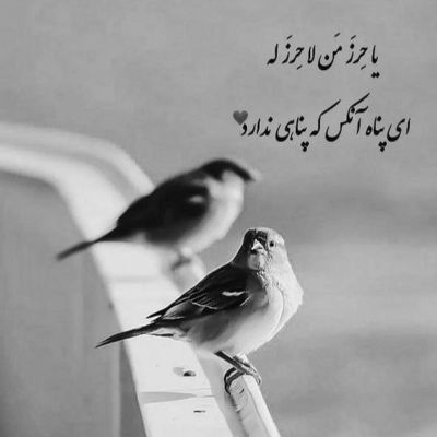 آهنگ تو عشقو دادی نشونم میخوامت از دل و جونم