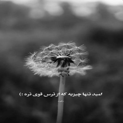 آهنگ از تو باید میگذشتم ولی افسوس نتونستم